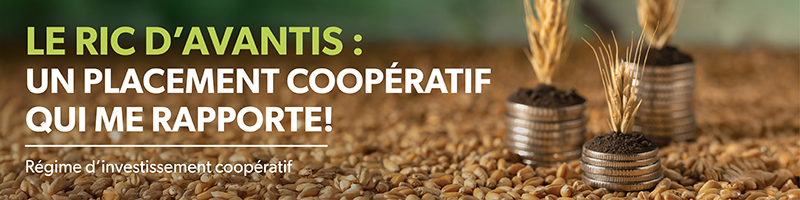 Bannière du Régime d'investissement coopératif d'Avantis, représentant la croissance financière à l'aide de piles de sous de plus en plus hautes.